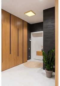 Globo 12382-15 - LED Stropné svietidlo TIBEY LED/15W/230V 25x25 cm