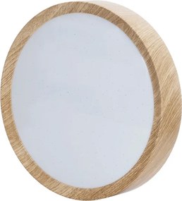 BRILAGI - LED stropné svietidlo NATURA LED/12W/230V 4000K pr. 26,3 cm