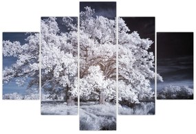 Obraz - Snehobiely strom (150x105 cm)