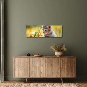 Obraz mačiatka pozerajúce sa na kvetinu (s hodinami) (90x30 cm)