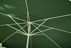 Slnečník - zelený, 4 m