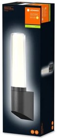 Ledvance - LED Vonkajšie nástenné svietidlo FLARE 1xLED/7W/230V IP44