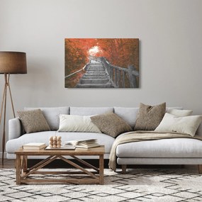 Obraz - Schody v prírode, oranžová (90x60 cm)