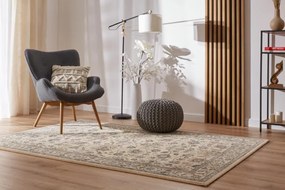 Koberec Ragolle Da Vinci 57166 6464