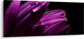 Obraz - Kvapka vody (120x50 cm)