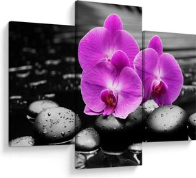 Obraz - Fialové orchidey (90x60 cm)