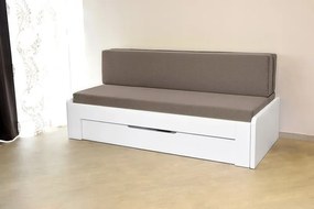 Ahorn DUOVITA 80 x 200 lamela - rozkladacia posteľ a sedačka 80 x 200 cm ľavá - dub biely, lamino