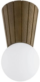 Argon 8974 - Kúpeľňové stropné svietidlo VOLANTE 1xG9/6W/230V IP44 pr. 12 cm hnedé