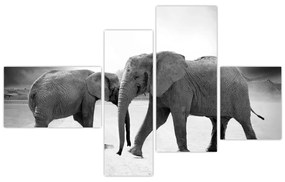 Obraz - slony