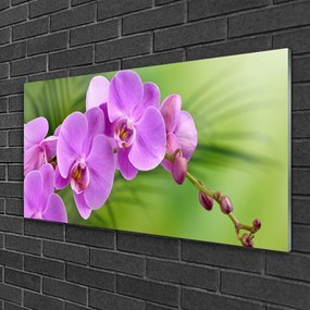 Skleneny obraz Vstavač orchidea kvety 100x50 cm