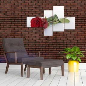 Obraz červené ruže
