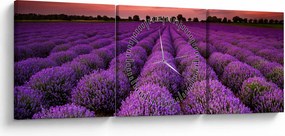 Obraz - Levanduľové pole (s hodinami) (90x30 cm)