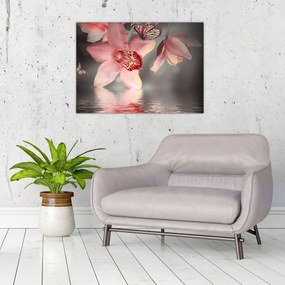 Obraz - Kvety a motýľ (70x50 cm)