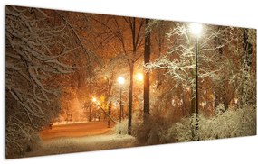 Obraz - Zasnežený park (120x50 cm)