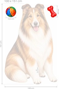 Usmievavá kólia s loptičkou a kosťou realistické textilné dekorácie na stenu arch 30 x 46 cm