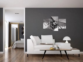 Obraz - Lietadlo (90x60 cm)