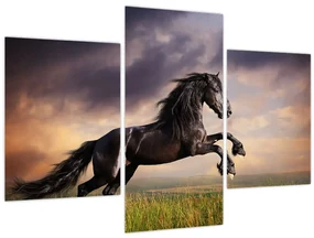 Obraz - Kone (90x60 cm)