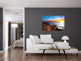 Obraz - Čajka letiaca nad pobrežím (90x60 cm)