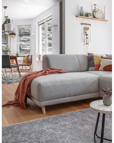 Svetlosivá rozkladacia/s úložným priestorom rohová pohovka (ľavý roh/do L) Classy Sophie – Miuform