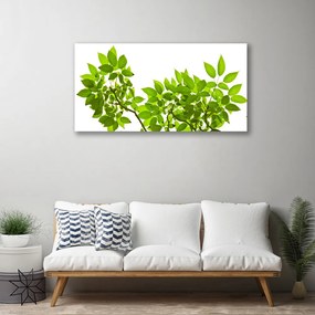 Obraz Canvas Vetva listy rastlina príroda 140x70 cm