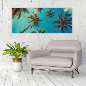 Obraz - Vysoké palmy (120x50 cm)
