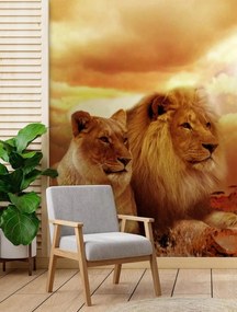 Fototapeta, Kočky lev pár zvířat - 100x140 cm