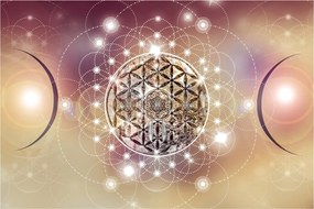Obraz - Mandala s elementmi (90x60 cm)