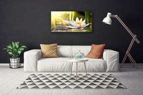 Obraz Canvas Kvet vodné lilie 120x60 cm