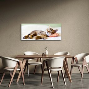 Obraz - Spiace mačiatko (120x50 cm)