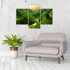 Obraz - Ryžové terasy Mu Cang Chai (90x60 cm)