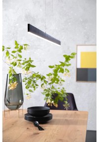 Čierne LED stmievateľné závesné svietidlo Straight – Fischer &amp; Honsel