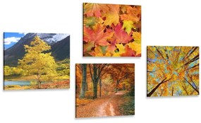 Set obrazov jesenná príroda v nádherných farbách - 4x 60x60