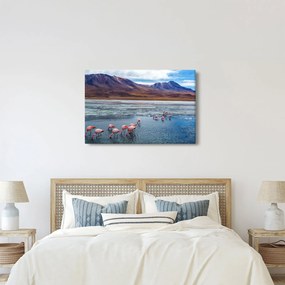 Obraz - Plameniaky (90x60 cm)