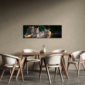 Obraz - Tigrii bratia (s hodinami) (90x30 cm)