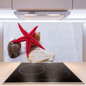 Sklenený obklad Do kuchyne Hviezdice mušle umenie 140x70 cm