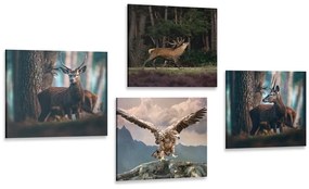 Set obrazov krása lesných zvierat - 4x 40x40