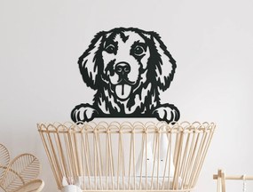 drevko 3D nálepka na stenu Zlatý retríver Rozmer obrazu: 40 x 44,5 cm, Farba dekorácie: Čierna