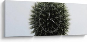 Obraz kvetinové gule (s hodinami) (90x30 cm)