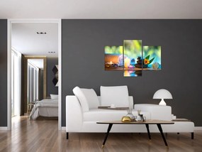 Obraz - Relaxácia (90x60 cm)