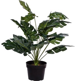 PLANTASIA Umelá rastlina monstera, 60 cm