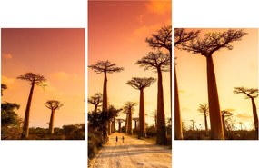Obraz - Západ slnka v uličke Baobab (90x60 cm)