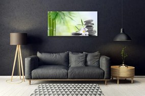 Obraz na skle Bambus stonka kvet rastlina 140x70 cm