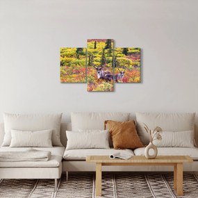 Obraz - Karibu na Aljaške (90x60 cm)