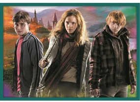 Trefl Puzzle Harry Potter, 10v1