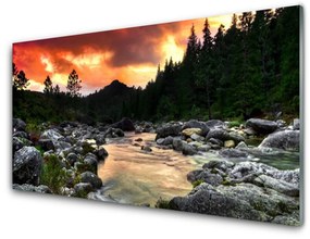 Skleneny obraz Jazero kamene les príroda 100x50 cm