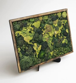 DUBLEZ | Machová imitácia mapy sveta - Obraz