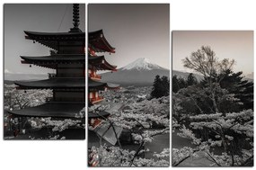Obraz na plátne - Pohľad na horu Fuji  161FC (105x70 cm)