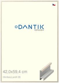 DANTIK rám na obraz 42x59,4 | ALU Dýha slonová kost (Plexi Čiré)