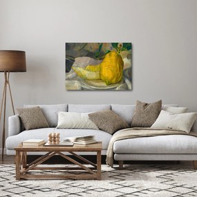 Obraz - French 19th Century, Melon and Lemon, reprodukcia (70x50 cm)