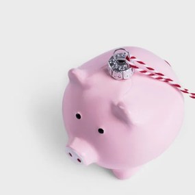 Vianočná ozdoba EVI PINK prasiatko 710209